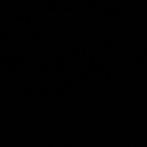 Meet your Posher, Max